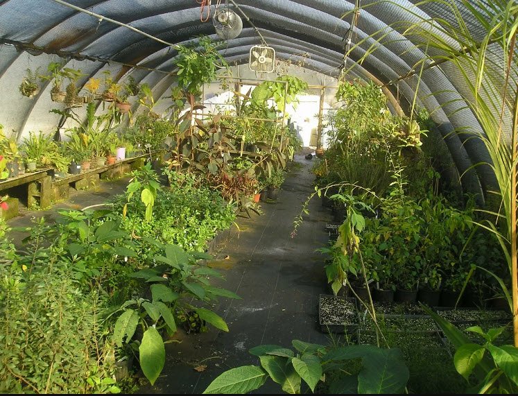 USF Botanical Gardens, United States